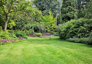 Optimiser l'expérience du jardin à Neaufles-Auvergny